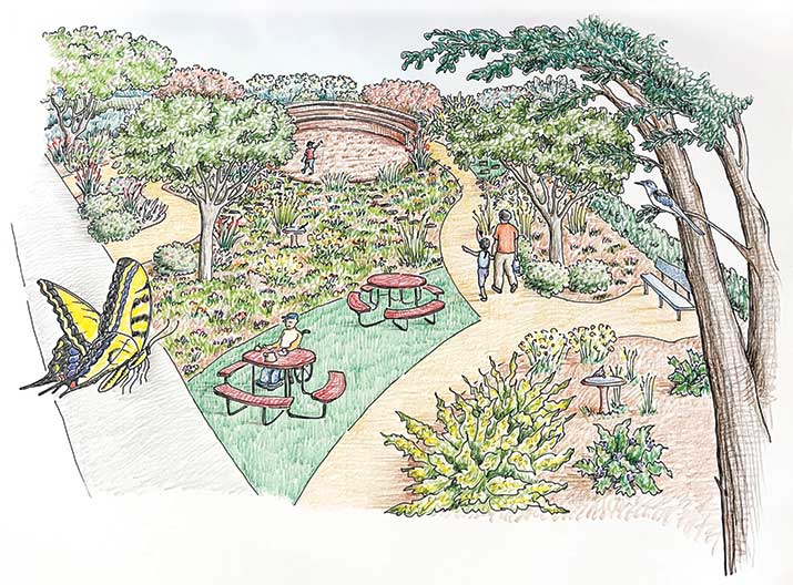 Drawing of Taylor Hicks Garden